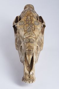 Teschio di cavallo inciso a mano.Isola di Timor, Indonesia, met XX sec.  - Asta Asta 464 | WUNDERKAMMER, CURIOSITIES & ETNOGRAFICA - GENIUS & ART Online - Associazione Nazionale - Case d'Asta italiane