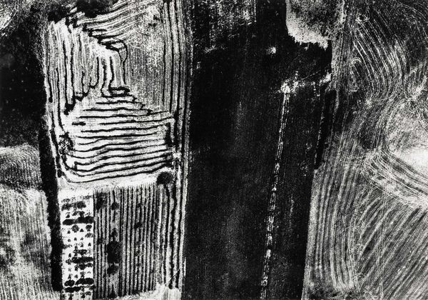 Mario Giacomelli : Presa di coscienza sulla natura  - Asta Fotografia - Associazione Nazionale - Case d'Asta italiane