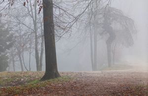 Abbas Gharib - Senza titolo, dalla serie The Fog