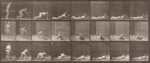 EADWEARD MUYBRIDGE - Lying, phone and firing, plate 357, Animal Locomotion