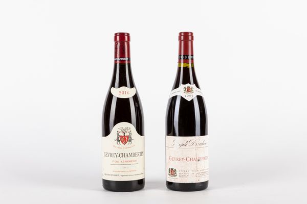 FRANCIA : Selezione Gevrey-Chambertin (2 Bt)  - Asta Vini e Distillati - Associazione Nazionale - Case d'Asta italiane