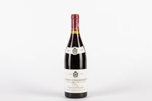 FRANCIA - Gevrey-Chambertin 1993