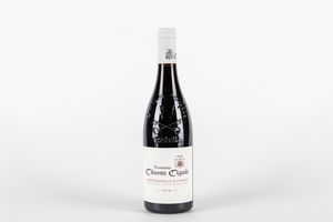 FRANCIA - Domaine Chante Cigale Chateauneuf-du-Pape 2019 (1 bt)