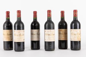 FRANCIA - CHATEAU BRANAIRE DUCRU 1996 (6 BT)