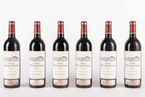 FRANCIA - CHATEAU PONTET CANET 1995 (6 BT)