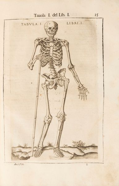 Giovanni Valverde : Anatomia del corpo humano  - Asta Libri, Autografi e Stampe - Associazione Nazionale - Case d'Asta italiane