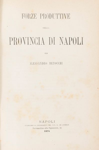 Alessandro Betocchi : Le forze produttrici della provincia di Napoli.  - Asta Libri, Autografi e Stampe - Associazione Nazionale - Case d'Asta italiane