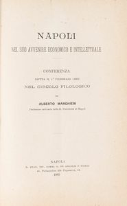 Alberto Marghieri - Napoli nel suo avvenire economico ed intellettuale.