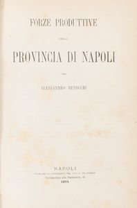 Alessandro Betocchi - Le forze produttrici della provincia di Napoli.