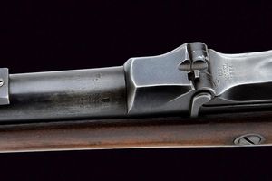 Fucile a retrocarica Springfield Trapdoor mod. 1884  - Asta Rare Armi Antiche e Militaria da tutto il mondo - Associazione Nazionale - Case d'Asta italiane