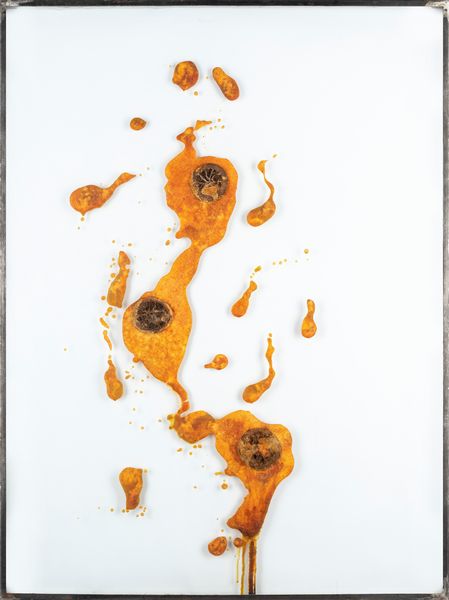 Gloria Friedmann : Pariah (oranges)  - Asta Testimonianze Contemporanee: Documenti, Libri, Fotografie e Opere d'Arte - Associazione Nazionale - Case d'Asta italiane