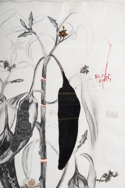 Mithu Sen : Black candy  - Asta Arte moderna e contemporanea - Associazione Nazionale - Case d'Asta italiane