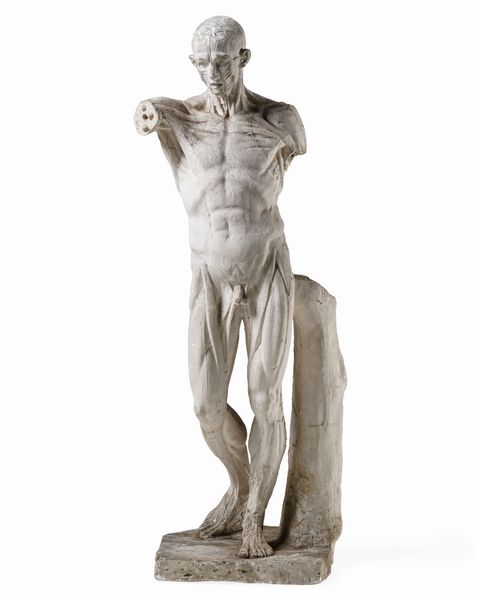 Da un modello di Jean-Antoine Houdon (1741 - 1828) Lo Scorticato  - Asta Dimore Italiane - Associazione Nazionale - Case d'Asta italiane