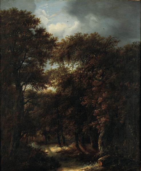 Jacob Izaaksoon van Ruisdael, Attribuito a : Paesaggio boschivo  - Asta Dipinti Antichi - Associazione Nazionale - Case d'Asta italiane