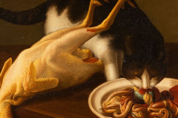 Nicola Levoli : Pollo con interiora e gatto  - Asta Dipinti Antichi - Associazione Nazionale - Case d'Asta italiane