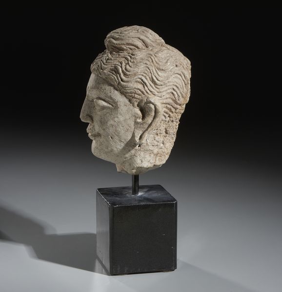 Arte Indiana : Testa di Buddha in stucco. Gandhara, probabile III-IV sec. d.C.  - Asta Asta 470 | ARTE ORIENTALE Online - Associazione Nazionale - Case d'Asta italiane