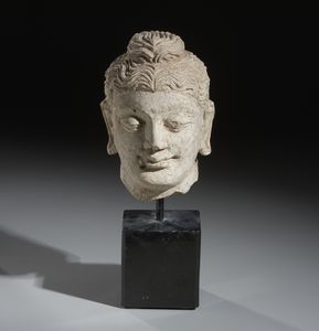 Arte Indiana - Testa di Buddha in stucco. Gandhara, probabile III-IV sec. d.C.