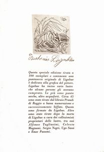 Ligabue Testo di Cesare Zavattini. Saggio di Mario De Micheli.  - Asta Libri D'Arte , Antichi, Moderni e di Numismatica - Associazione Nazionale - Case d'Asta italiane