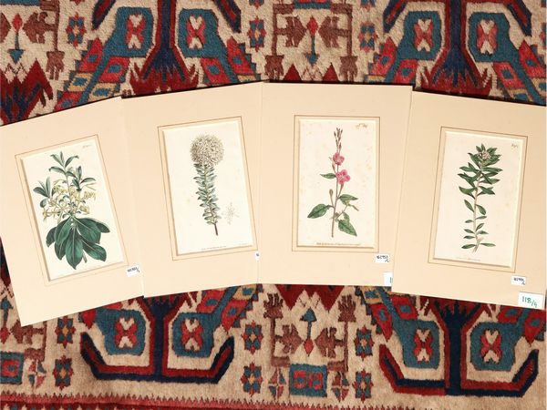 Botanica  - Asta Flora & Fauna. Una collezione di stampe - Associazione Nazionale - Case d'Asta italiane