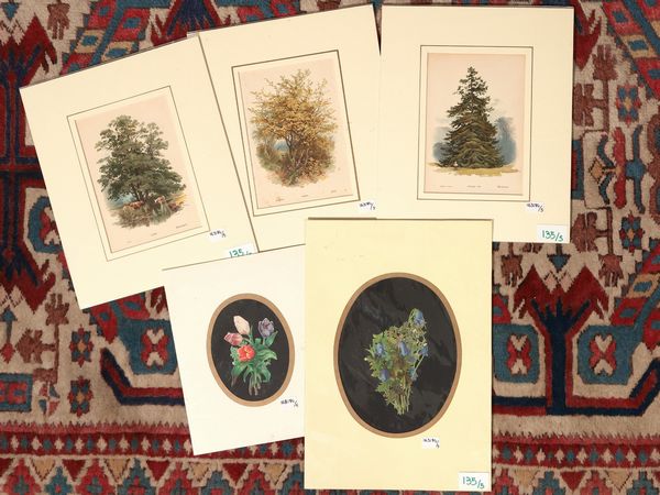 Alberi e fiori  - Asta Flora & Fauna. Una collezione di stampe - Associazione Nazionale - Case d'Asta italiane