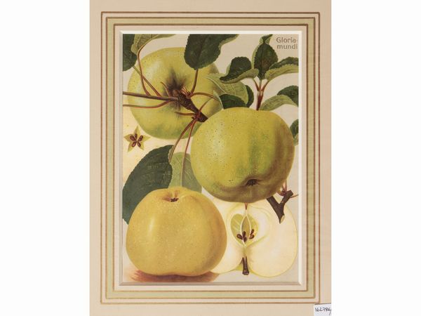 Frutta  - Asta Flora & Fauna. Una collezione di stampe - Associazione Nazionale - Case d'Asta italiane