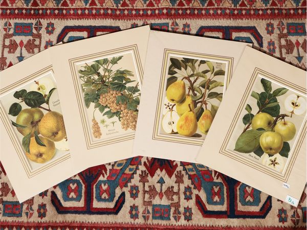 Frutta  - Asta Flora & Fauna. Una collezione di stampe - Associazione Nazionale - Case d'Asta italiane