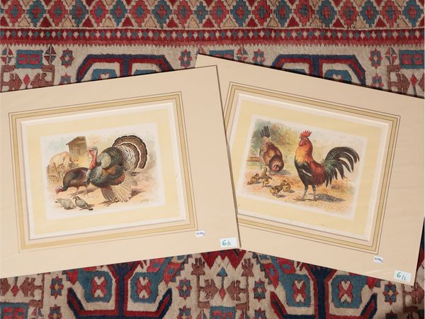 Tacchino e Gallo con gallina e pulcini  - Asta Flora & Fauna. Una collezione di stampe - Associazione Nazionale - Case d'Asta italiane