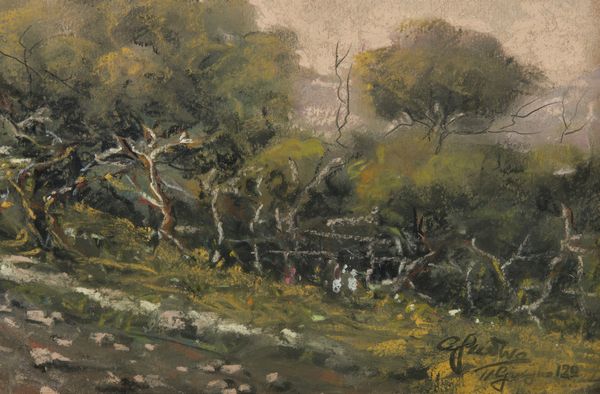 CASCIARO GIUSEPPE (1863 - 1945) : Strada di campagna  - Asta Asta 472 | ARTE ANTICA E DEL XIX SECOLO Virtuale - Associazione Nazionale - Case d'Asta italiane