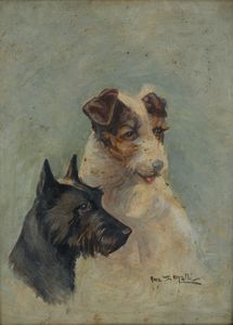 Angelo Silvio Galli - Cani