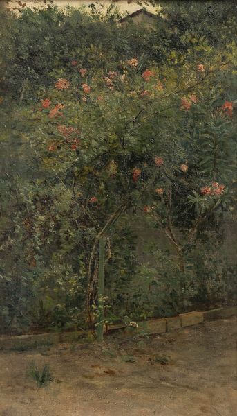 Lorenzo Cecconi : Alberi in fiore  - Asta Arte Figurativa tra XIX e XX Secolo - Associazione Nazionale - Case d'Asta italiane