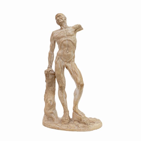 Studio di nudo anatomico maschile  - Asta Smart Auction: arredi, dipinti, sculture, argenti e altro a prezzi vantaggiosi - Associazione Nazionale - Case d'Asta italiane