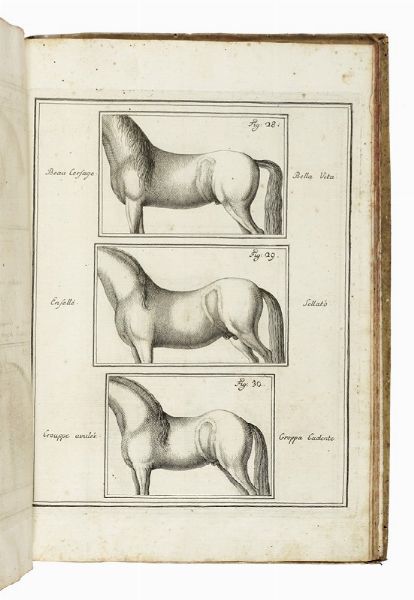 FRIEDRICH WILHELM (BARONE D') EISENBERG : La perfezione e i difetti del cavallo.  - Asta Libri, autografi e manoscritti - Associazione Nazionale - Case d'Asta italiane