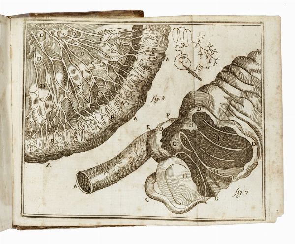 LORENZ HEISTER : Compendium anatomicum [...]. Editio quinta veneta...  - Asta Libri, autografi e manoscritti - Associazione Nazionale - Case d'Asta italiane