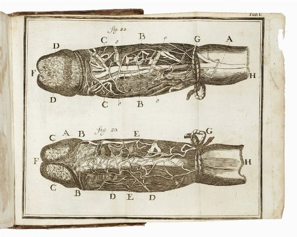 LORENZ HEISTER : Compendium anatomicum [...]. Editio quinta veneta...  - Asta Libri, autografi e manoscritti - Associazione Nazionale - Case d'Asta italiane