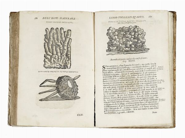 FERRANTE IMPERATO : Historia naturale [...] Nella quale ordinatamente si tratta della diversa condition di minere, pietre pretiose, & altre curiosit. Con varie historie di piante, & animali...  - Asta Libri, autografi e manoscritti - Associazione Nazionale - Case d'Asta italiane