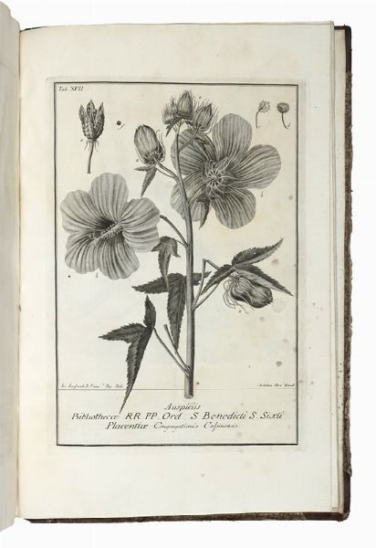 GIOVANNI ANTONIO SCOPOLI : Deliciae florae et faunae insubricae...Pars 1 (- 3).  - Asta Libri, autografi e manoscritti - Associazione Nazionale - Case d'Asta italiane