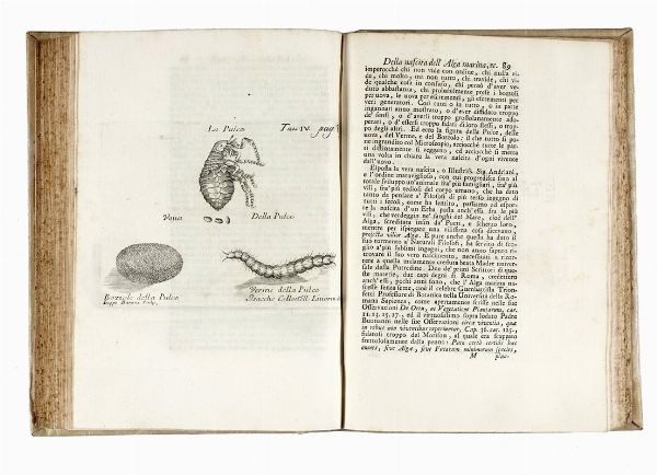 ANTONIO VALLISNERI : Nuove osservazioni, ed esperienze intorno all'Ovaia scoperta ne' Vermi tondi dell'Uomo, e de' Vitelli, con varie Lettere spettanti alla storia medica e naturale...  - Asta Libri, autografi e manoscritti - Associazione Nazionale - Case d'Asta italiane