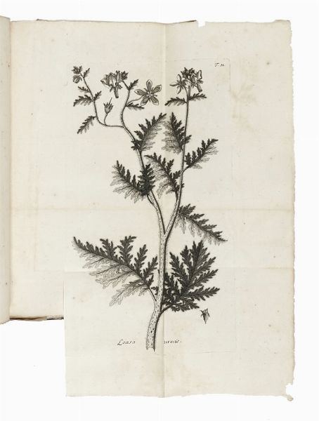 NIKOLAUS JOSEPH VON JACQUIN : Observationum botanicarum [...] Pars I (-IV et ultima).  - Asta Libri, autografi e manoscritti - Associazione Nazionale - Case d'Asta italiane