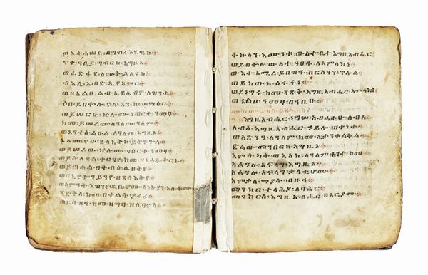 Codice pergamenaceo in lingua etiope.  - Asta Libri, autografi e manoscritti - Associazione Nazionale - Case d'Asta italiane