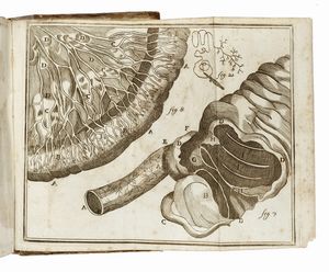 LORENZ HEISTER - Compendium anatomicum [...]. Editio quinta veneta...