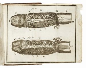 LORENZ HEISTER : Compendium anatomicum [...]. Editio quinta veneta...  - Asta Libri, autografi e manoscritti - Associazione Nazionale - Case d'Asta italiane