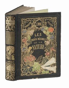 EMMANUEL LE MAOUT : Les trois rgnes de la Nature. Botanique. Organographie et taxonomie. Histoire naturelle des familles vgtales...  - Asta Libri, autografi e manoscritti - Associazione Nazionale - Case d'Asta italiane