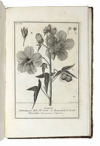 GIOVANNI ANTONIO SCOPOLI : Deliciae florae et faunae insubricae...Pars 1 (- 3).  - Asta Libri, autografi e manoscritti - Associazione Nazionale - Case d'Asta italiane