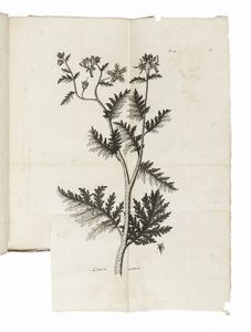 NIKOLAUS JOSEPH VON JACQUIN : Observationum botanicarum [...] Pars I (-IV et ultima).  - Asta Libri, autografi e manoscritti - Associazione Nazionale - Case d'Asta italiane