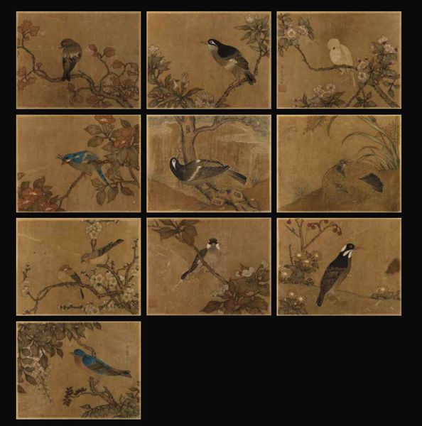 Album con inscrizione Jiang Tingxi - Il libro a colori di fiori ed uccelli contenente 12 tempere su seta, Cina, riproduzioni degli inizi del XIX secolo  - Asta Arte Orientale - Associazione Nazionale - Case d'Asta italiane