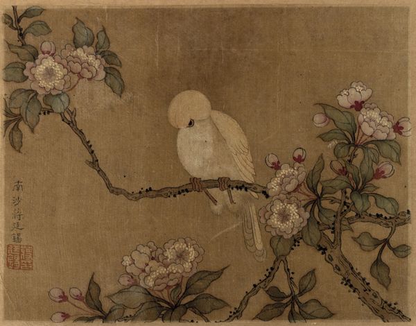 Album con inscrizione Jiang Tingxi - Il libro a colori di fiori ed uccelli contenente 12 tempere su seta, Cina, riproduzioni degli inizi del XIX secolo  - Asta Arte Orientale - Associazione Nazionale - Case d'Asta italiane