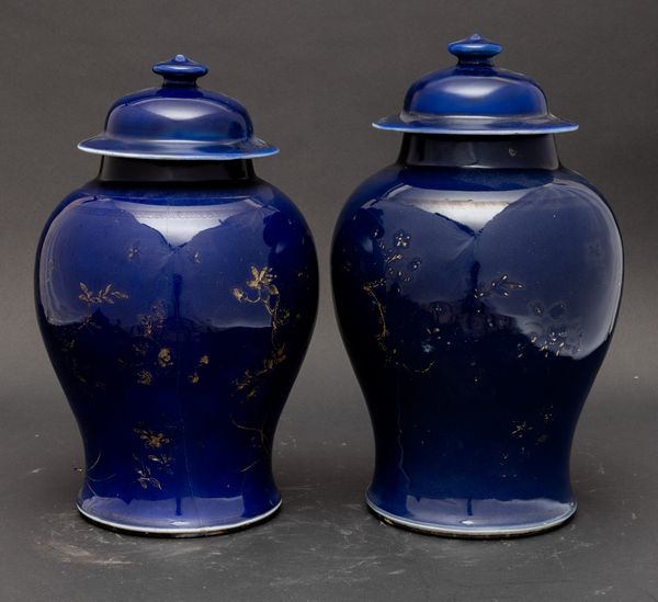 Coppia di potiche in porcellana monocroma blu poudr a decoro naturalistico lumeggiato in color oro, Cina, Dinastia Qing, epoca Qianlong (1736-1796)  - Asta Arte Orientale - Associazione Nazionale - Case d'Asta italiane