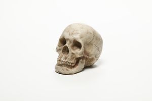 Memento mori in marmo bianco di Carrara, XIX secolo  - Asta Antiquariato - Associazione Nazionale - Case d'Asta italiane