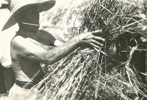 Autori diversi  - Asta Fotografia - Associazione Nazionale - Case d'Asta italiane