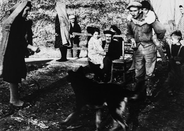 Mario Giacomelli : La buona terra  - Asta Fotografia - Associazione Nazionale - Case d'Asta italiane